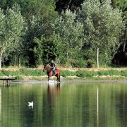 Passeggiate a Cavallo