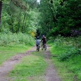 biciclettate in pineta